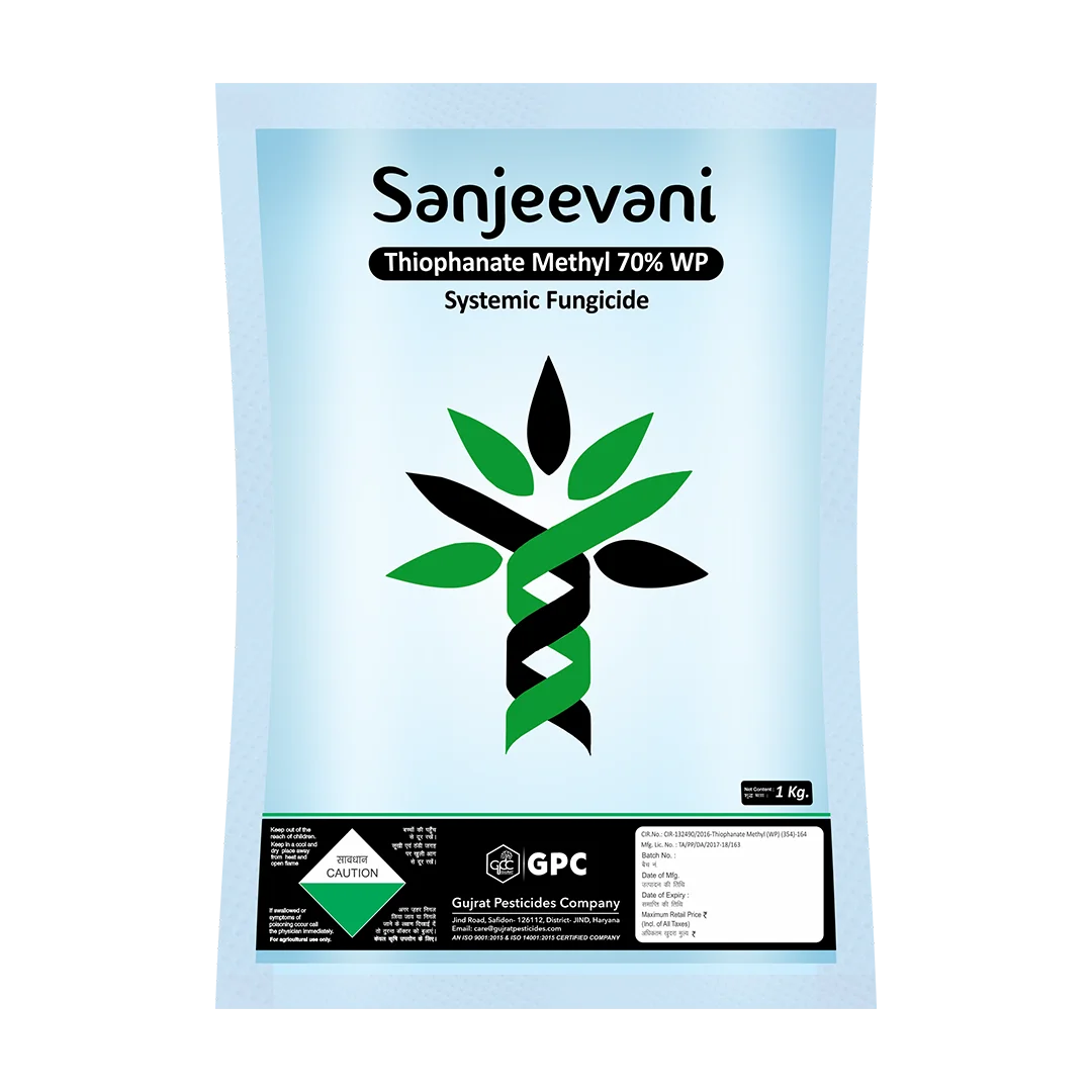 SANJEEVANI